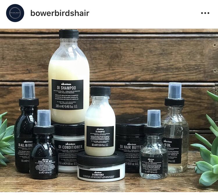 BowerBirdsHair tweet media