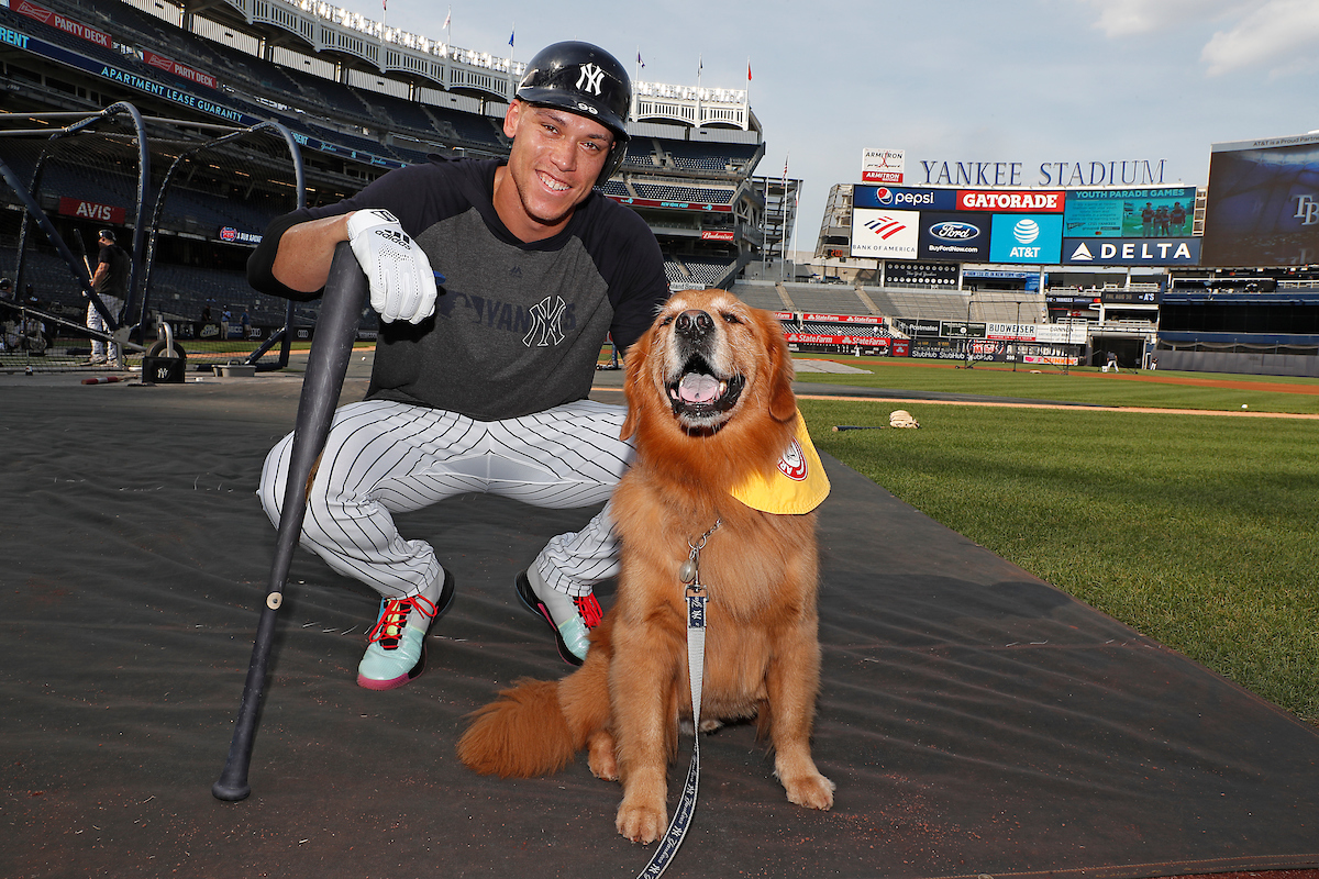 E_Lipsman's tweet photo. Rookie's made a lot of friends in just 7 years. From Baseball, Hockey, and Show Business. @mroctober,@russooo18, @TheJudge44, @BrooklynDecker. #PopularPup #HappyBirthday https://t.co/m0umCj3c7Z