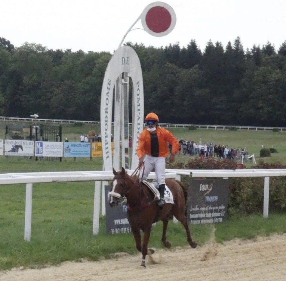 Pompadour pleure son chouchou😢
En effet, le cheval de❤️du public corrézien Argese de la Brunie 4️⃣🏆sur le #cross de sa terre natale a tiré sa révérence en Béarn. Adepte des courses d’attente,cet AA de 55% suscitait un attachement et une admiration aux yeux de tous
R.I.P Champion