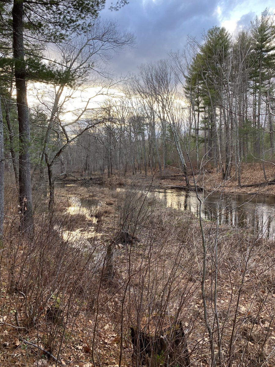 Appreciate all that is around you......step back.....breathe......take it all in....and just BE.