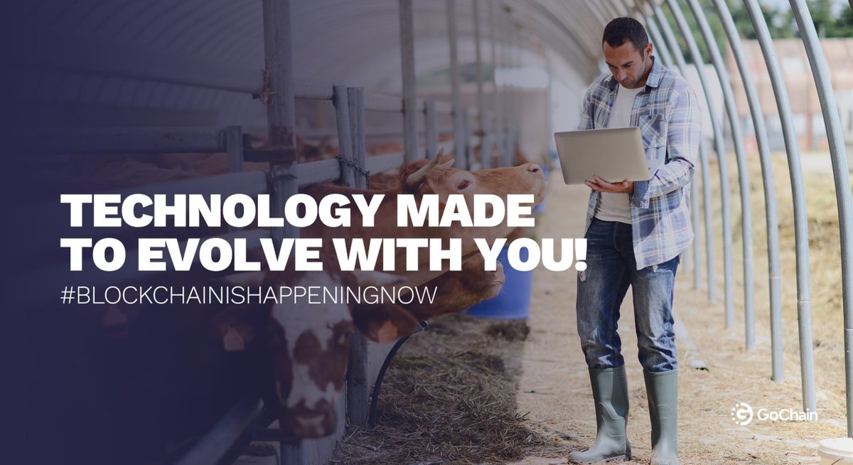 go_chain's tweet photo. Ensure that your business evolves as it grows! To see if you qualify and to learn more about our Global Acceleration Program for Sustainablity head to our website. 🌱👉 https://t.co/fjp8Cc5nYQ https://t.co/jCytbiuqlP