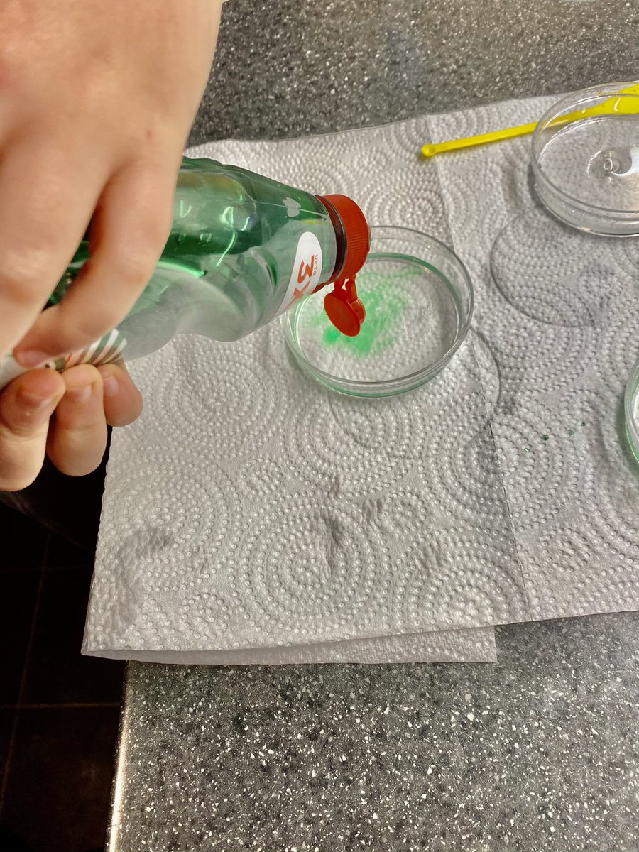 russTrib's tweet image. @laceygreenpa 
The knowledge of Crystallisation!
I had so much fun! 🧪 🧫 🧬 ⚛️ 🎄 
Libbie Tomlinson - 4A
#LGPAScience