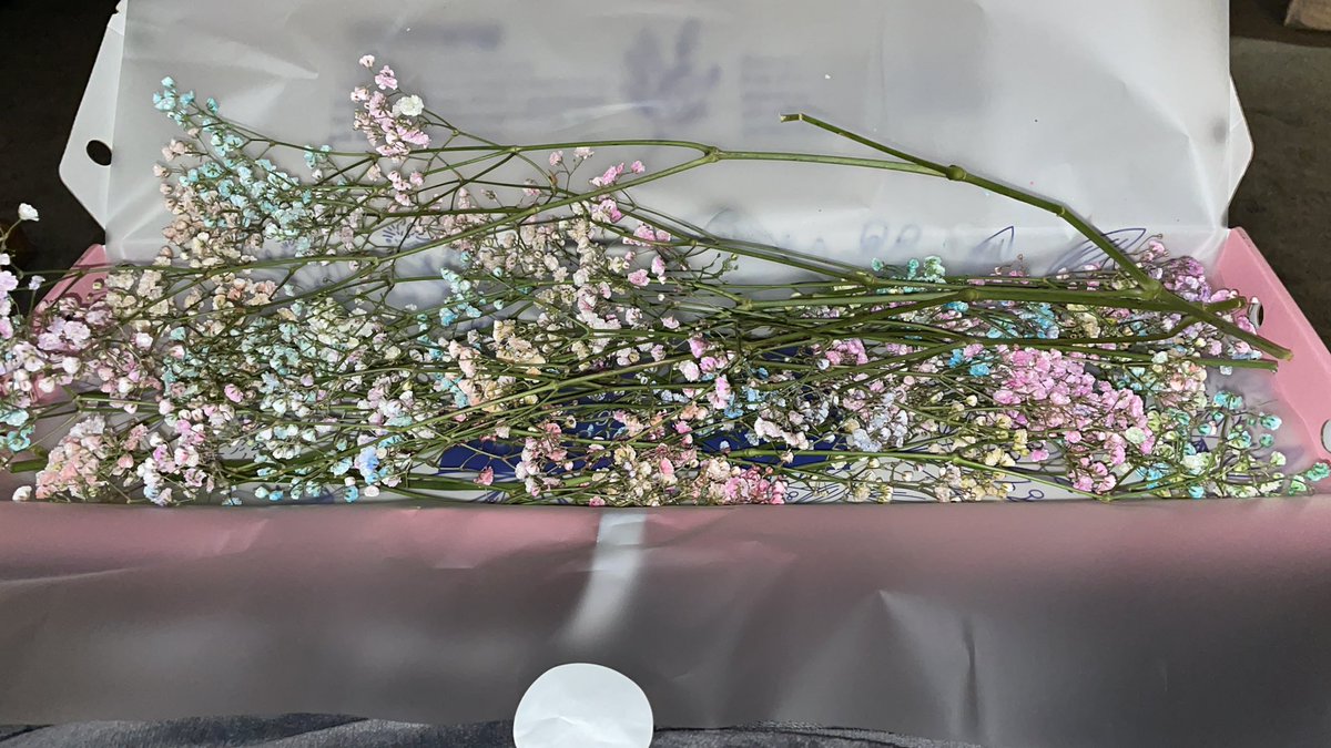 kategeceli's tweet photo. @MoonpigUK can someone answer why my sister in law ordered a bunch of Lilly’s and what was delivered was a box of baby’s breath? https://t.co/fz0Exu22CW