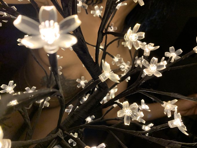 lit https://t.co/mthKOGu7if<a href="/tag/newprofilepic"class="tags"><span>#newprofilepic</span></a>