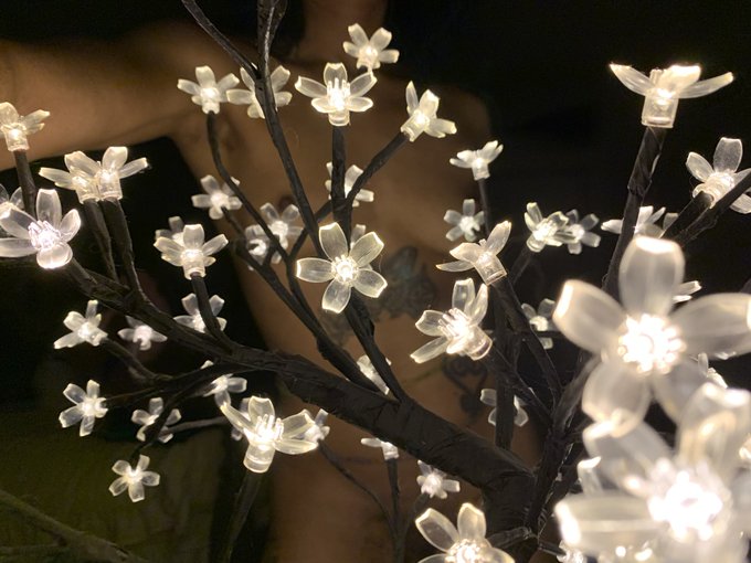 lit https://t.co/mthKOGu7if<a href="/tag/newprofilepic"class="tags"><span>#newprofilepic</span></a>