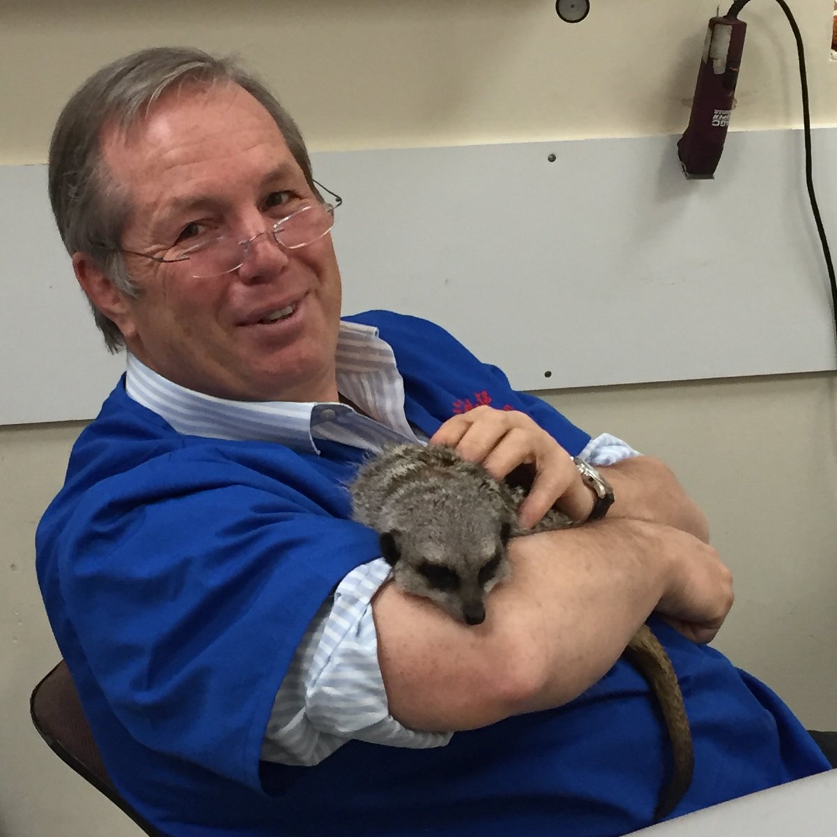 HeartVets tweet media