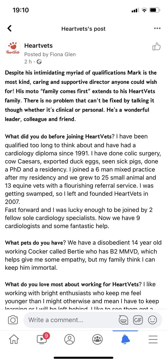 HeartVets tweet media