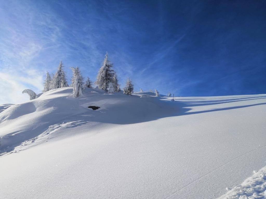 La gentilezza è come la neve. Rende bello tutto ciò che copre.
Kahlil Gibran
