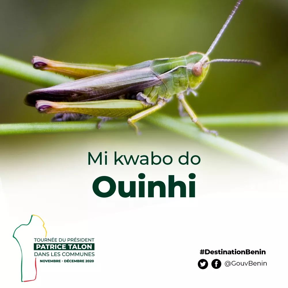 PresidenceBenin's tweet photo. #DestinationBenin #wasexo #Ouinhi 

Ouinhi, au cœur des forêts et des gisements de gypse et de latérite en pays Agonlin au Bénin

Bienvenue à Ouinhi (Originellement "le marché des criquets").Bienvenue en pays Agonlin, au... 

Découvrez Ouinhi sur => https://t.co/uUAnvFByX3 https://t.co/YJn77Ak50z
