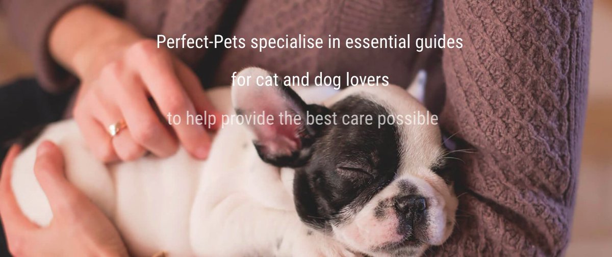 Christmas Sale - Save 50% on all books! 
Use code: PERFECT50OFF

Shop Perfect Pets: tidd.ly/3r056Ow

#ad #pets #dogs #catlovers #doglovers #puppies #kittens