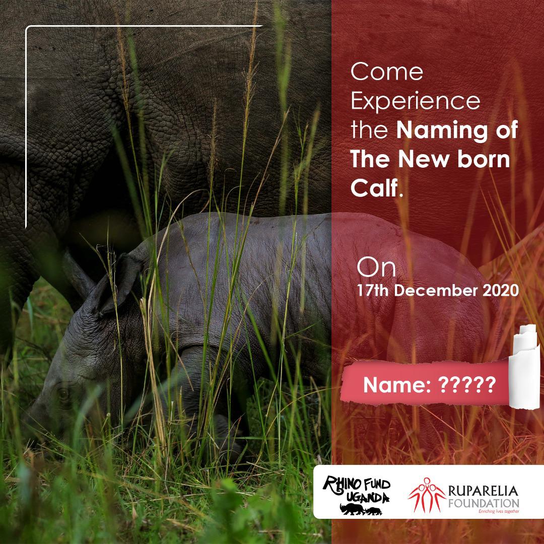 Rhino Fund Uganda tweet media
