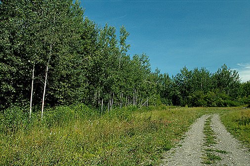 Do you have getting into the recreational property market on your list for 2021? Take a look at our small acreages section - properties start at under 40K for 4-5 acre parcels (or 5 football fields). ow.ly/MHDP50BFHQb
