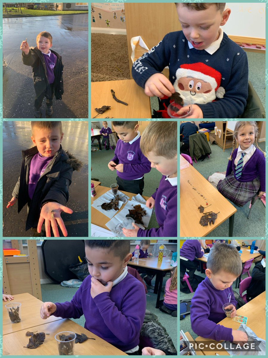 MissStalkerBX's tweet photo. Inspired by Kym Scott’s ‘Maths Matters’ training, we collected natural items from the playground for a counting activity 🍂 The children loved selecting, drying and adding the items together 🥰 #BPSMaths https://t.co/ihCh1oHDrO