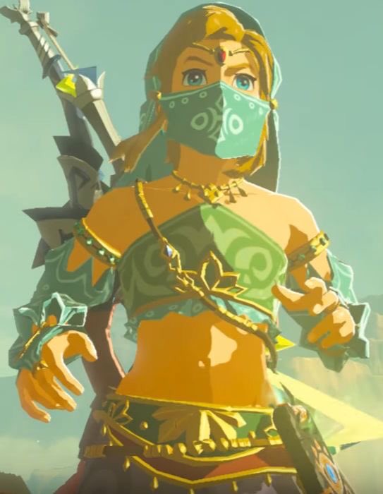 Link is a he/they pansexual and you cannot change my mind