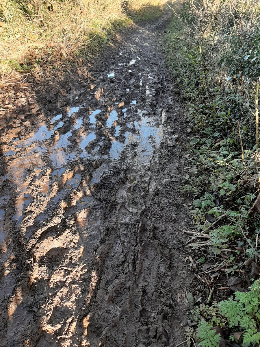 A muddy #walk today 👣 our January walk happens to coincide with <a href="/SlowWaysUK/">Slow Ways</a> 🐌 launch week so the plan is to test one of those routes! Who'll be joining us?