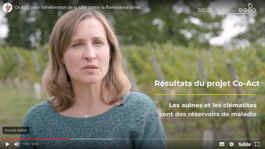 PlanDepVignoble's tweet photo. 🎬Aujourd'hui, zoom sur la lutte contre la #flavescence dorée de la #vigne avec le film du projet #CoAct2 @INRAE_NA_BDX #phytoplasme #gdon
https://t.co/gbOIFbSSWu
@lv_vitisphere @VigneReussir @mon_viti https://t.co/1favplVPWN