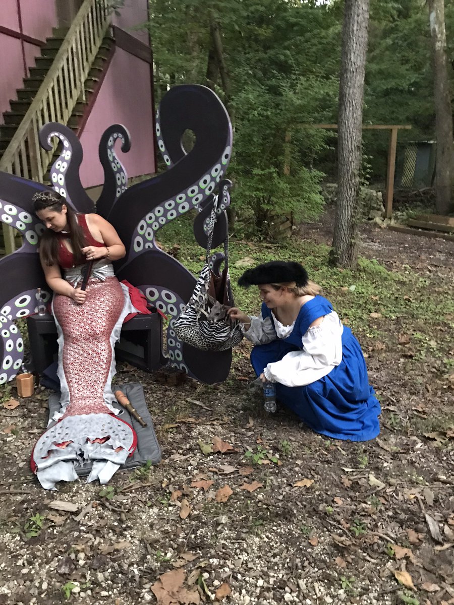 Swords and Roses (@swords_androses) on Twitter photo 