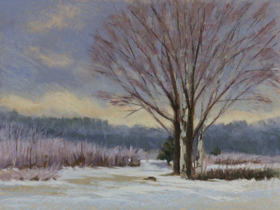 Art Center East is starting up an online pastel painting class starting in January! Register on their website: artscentereast.org