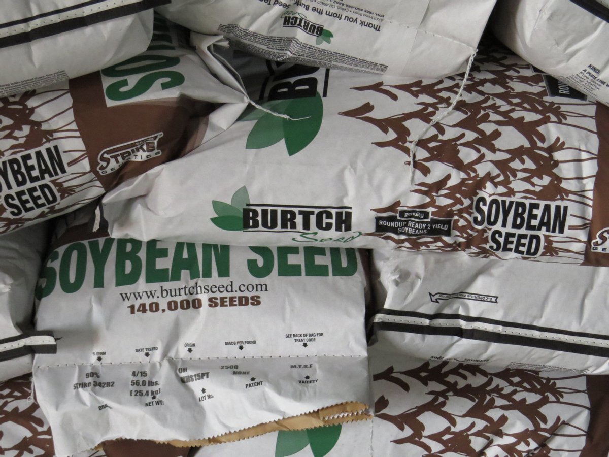BurtchSeed's tweet photo. Get a head start for #Plant21. Here at Burtch Seed, we offer a wide variety of soybeans that will grow your profits and maximize your yields.

Learn more by visiting our website: https://t.co/jHY06nTIlY 

#BurtchSeed #WeDoSeed #Soybean #Agriculture https://t.co/TeuuE16OHc