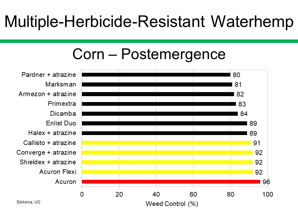 psikkema1's tweet photo. A summary of 6 years of field research completed in southwestern Ontario found that Callisto + atrazine, Converge + atrazine, Shieldex + atrazine and Acuron Flexi, applied postemergence in corn, controlled multiple-herbicide-resistant waterhemp 91-92%; Acuron provided 96% control https://t.co/Vb0jTZGFfM
