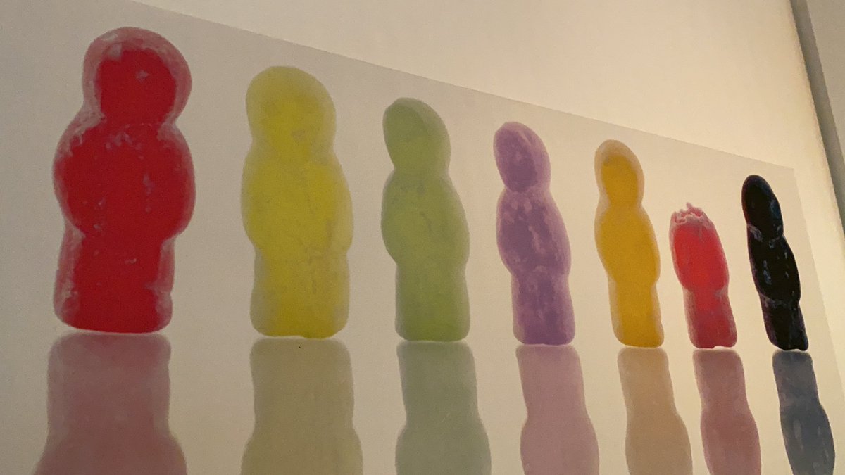 LuciaJelley's tweet image. @CGSFunRun An idea for our family’s winning fancy dress outfit? 🤔 #cgsfunrun