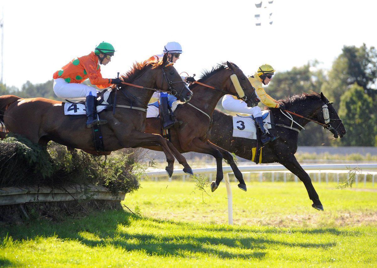 8 - STROMSHOLM - SWEDEN  In the picturesque Swedish forest is the only NH course in Sweden. The Swedish Grand National is worth 12k to the winner and the Champion Hurdle on the same day is 8k to the winner.The track is extremely tight and goes off into the forest for a bit