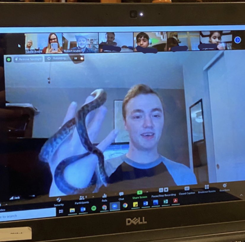 JES_Quest's tweet photo. Mr. Andre’s cousins are animal experts! They joined first graders on our Zoom call today to tell us all about zookeeping and working with animals. We even got to meet some hissing cockroaches, a snake, and a leopard gecko! @Jack_D_Johnson #jesquest https://t.co/NZTLC9aNbQ