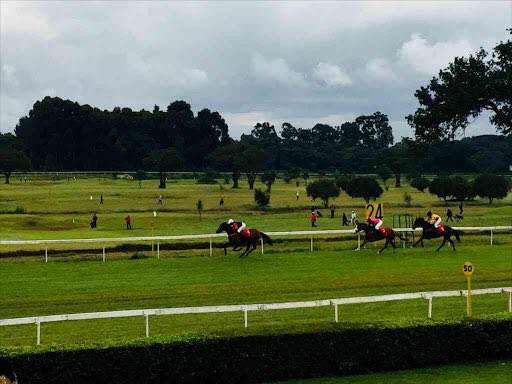 12 - NGONG - KENYA  The only racecourse in Kenya, Ngong hosts meetings twice a month on every other Sunday.The biggest race of the calendar is the Kenyan Derby! Given the standard is pretty abysmal, the racetrack is actually fairly decent, much better than you’d expect