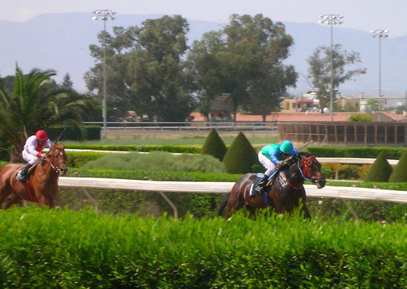 MANTIPA has won the last two renewals of the St Leger, and MIKRI FINIKI won the 1000 Guineas and Oaks double.In total there are 14 Group 1 races, although obviously the standard isn’t comparable to over here, it’s a gorgeous course in a lovely area