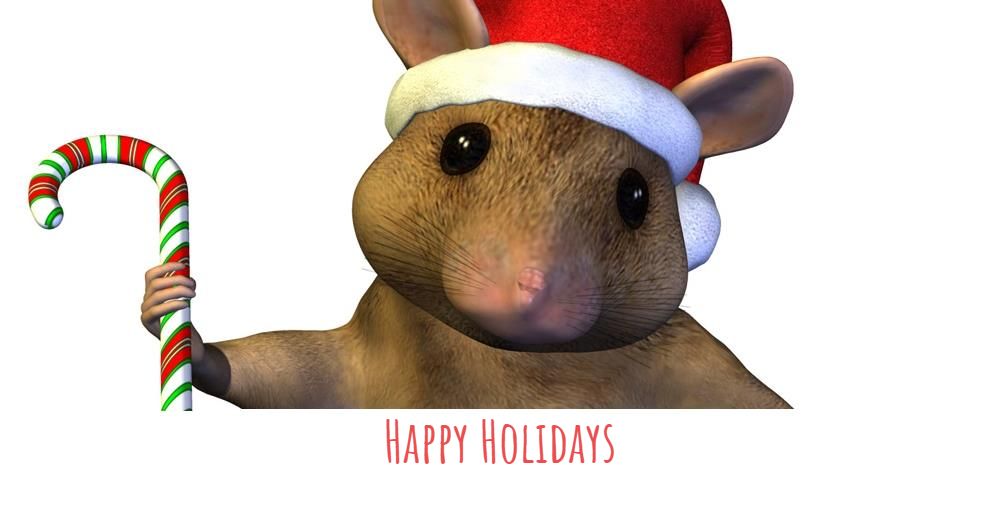 CounterpointTO's tweet photo. Holiday Schedule 2020 - https://t.co/MeSpj0JUoH https://t.co/2qZkNGpr7k