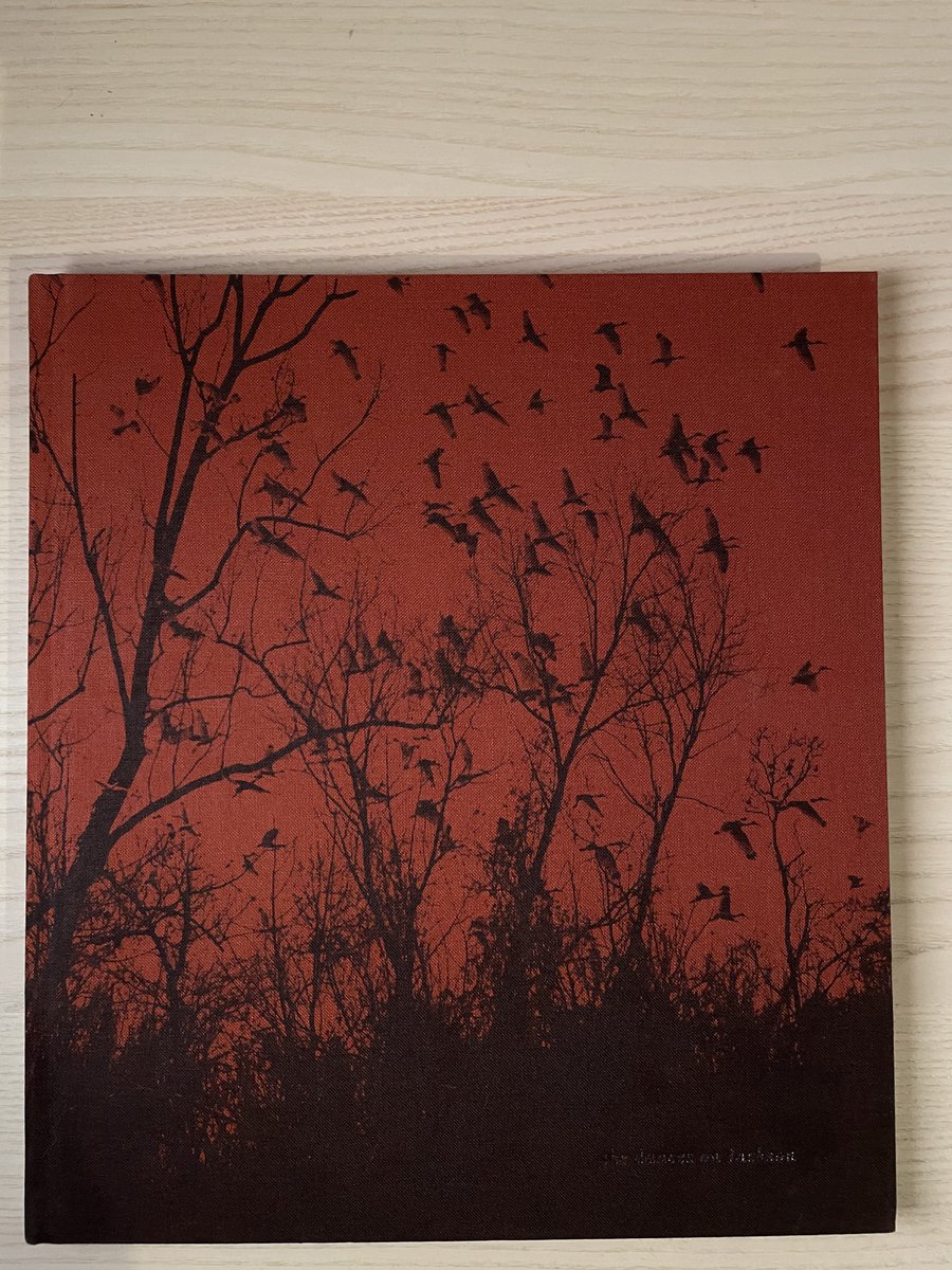 2. Vanessa Winship: she dances on Jackson (MACK, 2013)Winship spent a year travelling across America with a large format camera in 2011. Where did American dream go? This is a tender, slightly crooked and endlessly empathetic masterpiece of a narrative in a linen-clothed cover