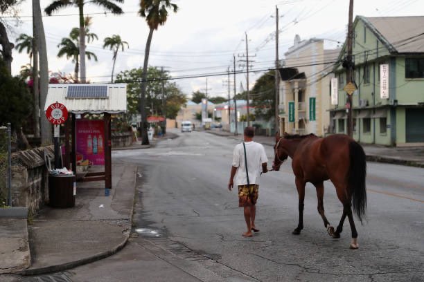 When horses have finished racing, the grooms walk them down the road and wash them off at the beach, fans can go an interact with trainers/horses/grooms there.