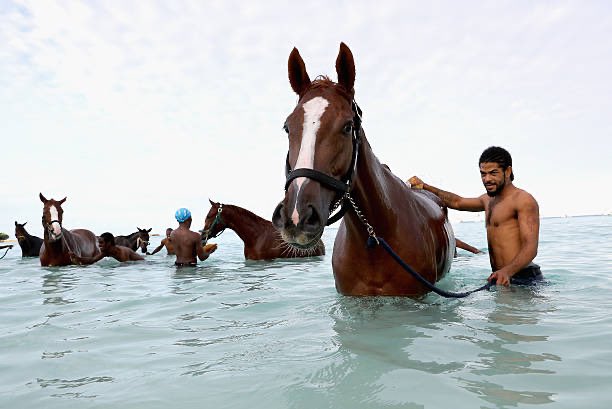 When horses have finished racing, the grooms walk them down the road and wash them off at the beach, fans can go an interact with trainers/horses/grooms there.