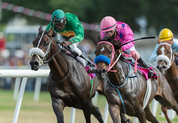 There’s some good pots to be won, the biggest race of the year is the Barbados Gold Cup, with £78,000 to the winner! American barns have aimed a few horses at the race before &  @trainerMMaker has won the race 3 times in the last 7 years for Kenneth & Sarah Ramsey