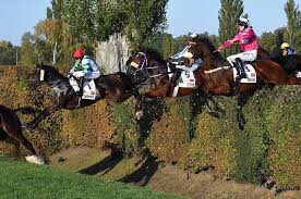3 - PARDUBICE - CZECH REPUBLIC  A brutal test for a racehorse is the Velka Pardubicka, a stamina sapping 4m1f trip with 31 obstacles jumped, on par with our own Grand NationalThere’s a variation of obstacles including the famous Taxis Ditch, 1m deep and 4m long (see below)