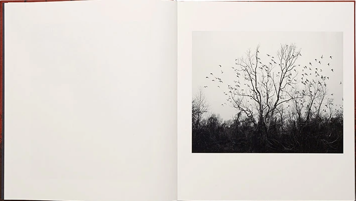 2. Vanessa Winship: she dances on Jackson (MACK, 2013)Winship spent a year travelling across America with a large format camera in 2011. Where did American dream go? This is a tender, slightly crooked and endlessly empathetic masterpiece of a narrative in a linen-clothed cover