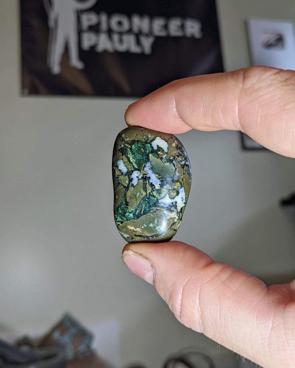 There are these rocks called Dallasite exclusively found on Vancouver Island. The name comes from where it was first discovered -- Dallas beach. My grandfather was apart of the lapidary society here on the island so he helped 'solidify' its name. Kinda neat!👌

#rocks #gemstones
