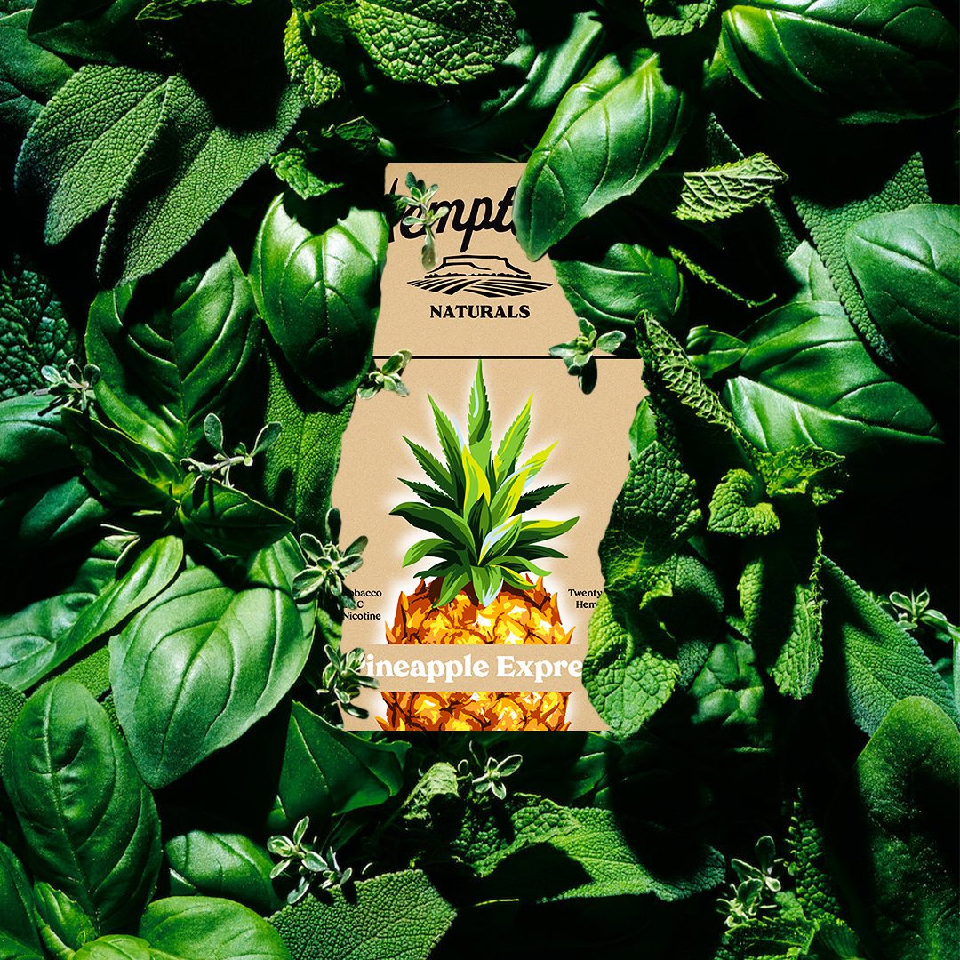 Hemptown Naturals tweet media