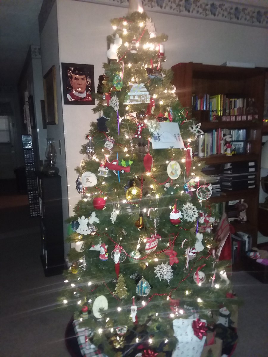 SusanStephens8's tweet photo. @KateySagal My tree! https://t.co/SQuQJW14ty