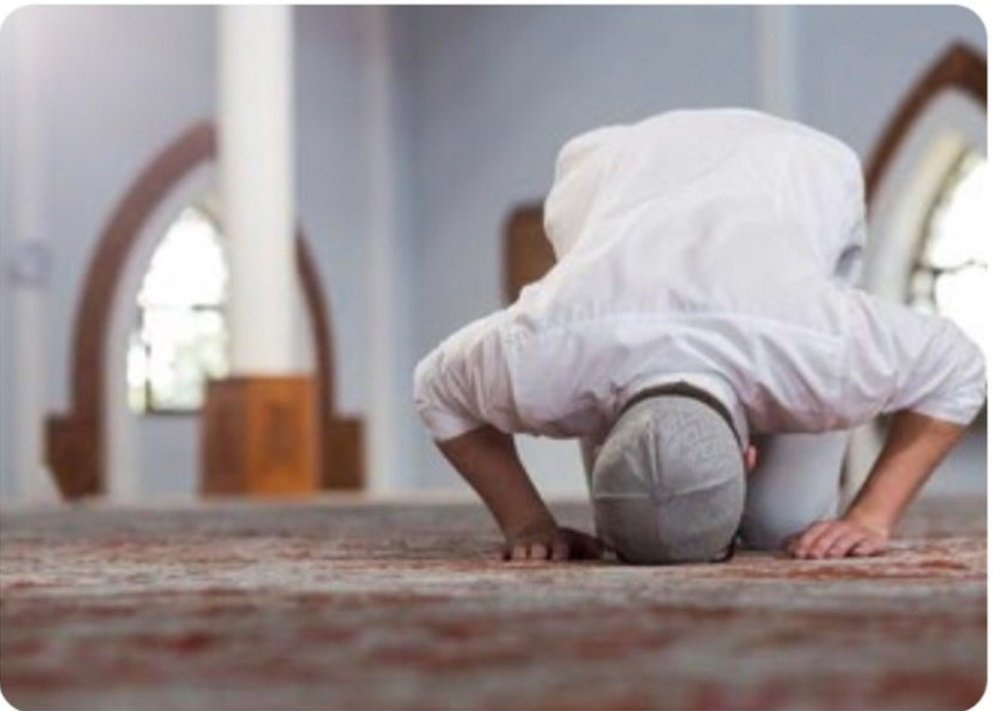 MuslimPause's tweet photo. Les vrais amis sont ceux qui se souviennent de toi au moment de la prosternation https://t.co/aAqQDlBNqI