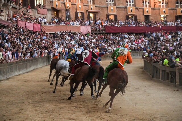 The race is simple, it’s 3 laps of the track and the first horse past the winning line.The even crazier thing? A horse can still win the race without a jockey. This has happened before, famously a few yrs ago when a jockey thought he won, only to realise the riderless horse won