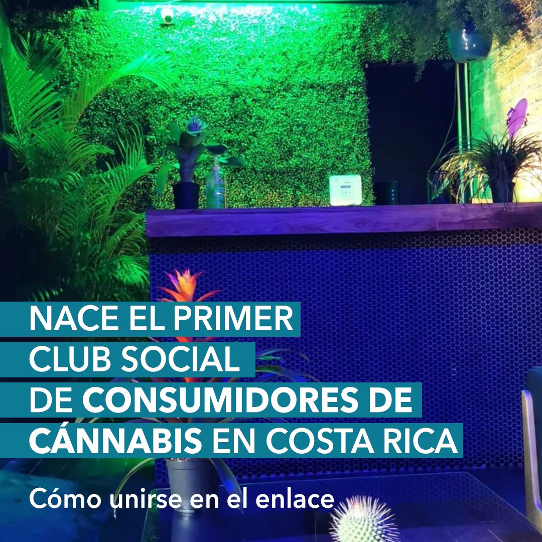 La_Republica's tweet photo. The High Club se convirtió en el primer club social de consumidores de cannabis en Costa Rica.
Más información en https://t.co/60wcHIY4Lf
#Cannabis #costarica #TheHighClub https://t.co/BBdGRzi4zx