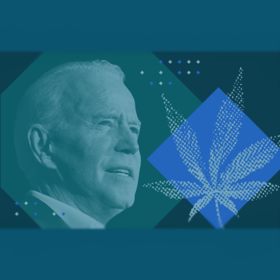 ssdpofficial's tweet image. David Bienenstock finds out “Who should Biden appoint?” on @Leafly.

Featuring our Co-interim Executive Director, Rachel Wissner ‘11, and Board Member, Jason Ortiz ‘08.

leafly.com/news/politics/…

#StartMakingSense #Biden