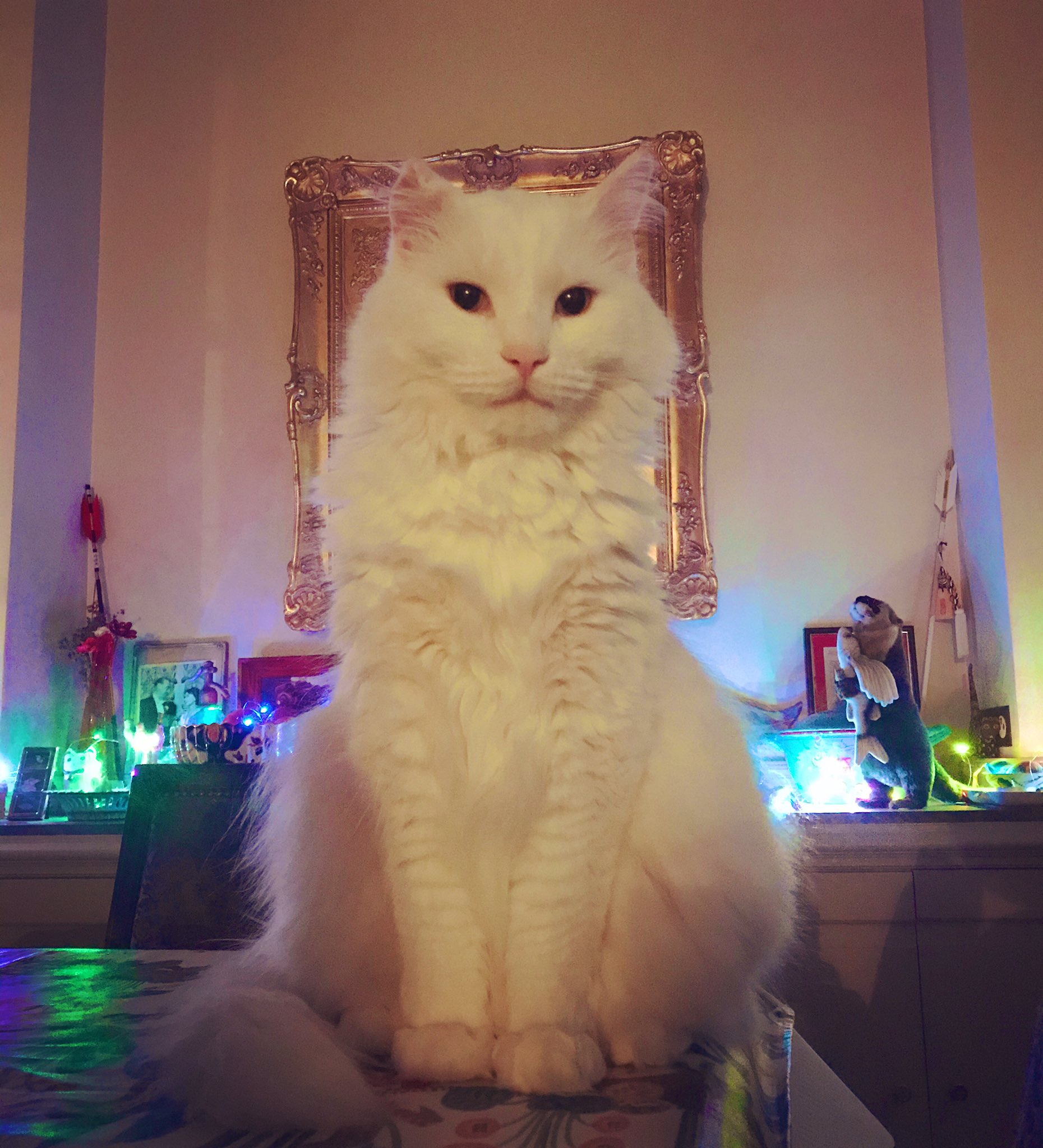   Happy Birthday, Senator Mark Warner!       