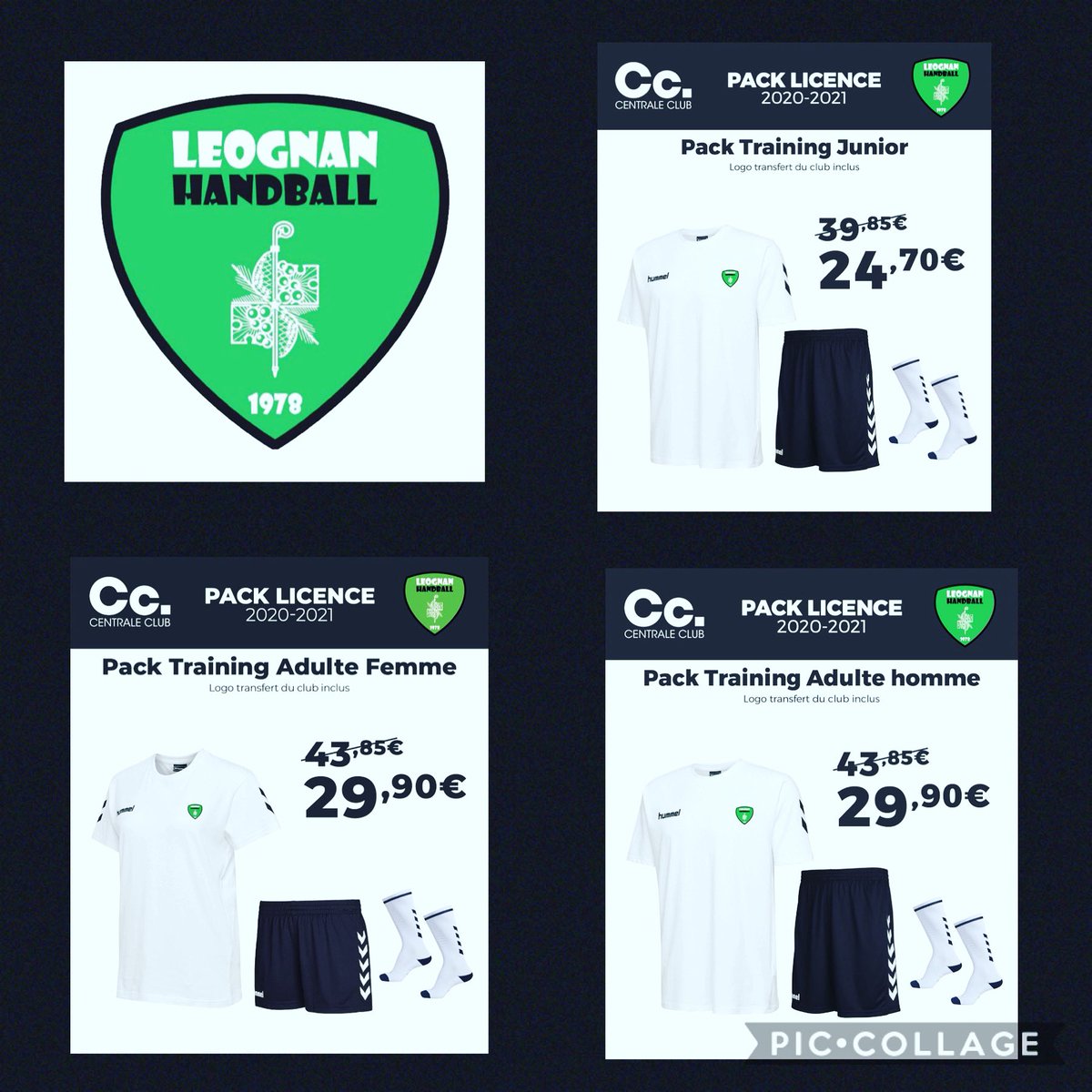 leognan-handball.clubeo.com