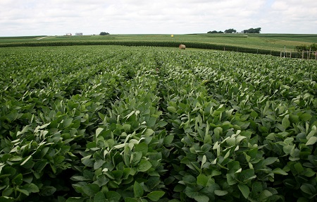 ISUANR's tweet photo. Iowa Land Values Show Stability in Turbulent Year: Annual survey finds average value of Iowa farmland increased 1.7% per acre.
https://t.co/rosvGllZIn https://t.co/8WvkB5YbzJ