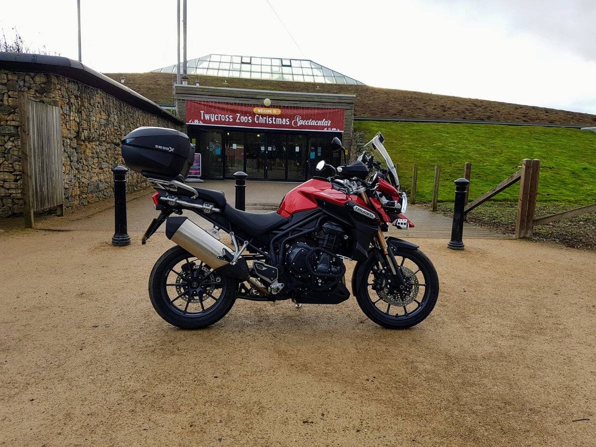 Rigsville's tweet photo. Watch out! There's a tiger loose at the zoo! #triumph #triumphexplorer #triumphtiger1200 https://t.co/wB9KN2pwFP