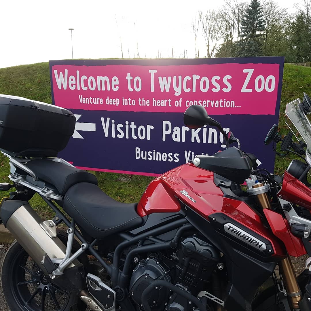 Rigsville's tweet photo. Watch out! There's a tiger loose at the zoo! #triumph #triumphexplorer #triumphtiger1200 https://t.co/wB9KN2pwFP