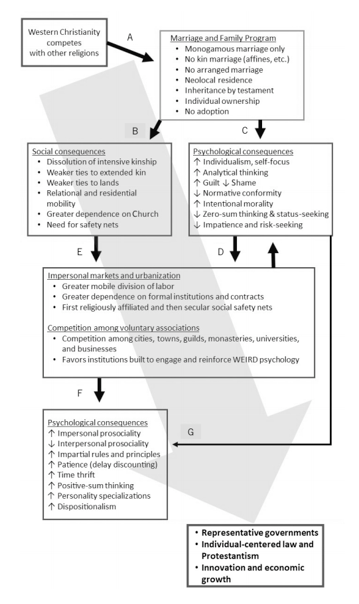 9/ Henrich's book mostly focuses on WEIRD psychology. He writes: "The cultural evolution of psychology is the dark matter that flows behind the scenes throughout history."WEIRD psych co-evolved with voluntary orgs from 1000-2000 in Europe. Old kin institutions were outcompeted.
