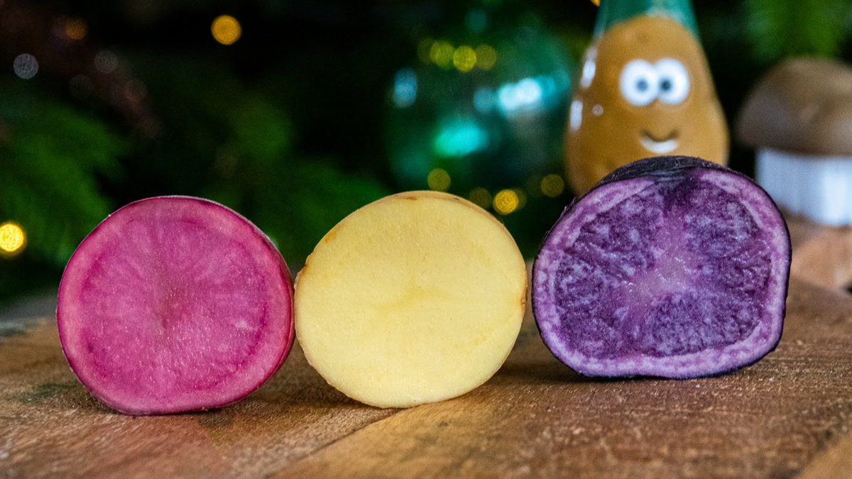 TheFriezinn's tweet photo. ⭐ BILDTS KERSTMENU | 
Deze kerst dineer je Bildts! Met lokale producten! De aanbieders van de Bildtse Smaakroete presenteren met trots dit kerstmenu. We hebben een selectie van streekproducten waar je een kerstwaardig menu thuis mee bereid! https://t.co/NBWcSrX2gv https://t.co/psupTHiIh1